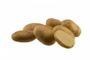 АРТЕМИС, семена картофи