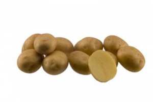 МАДЕЛИН, семена картофи