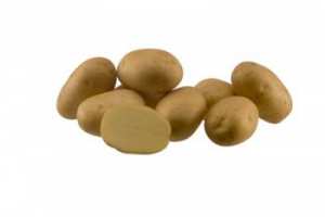 АГАТА, семена картофи
