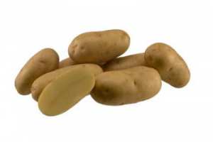 АРИНДА, семена картофи