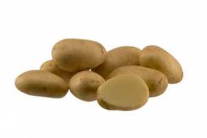 АЛМЕРА, семена картофи
