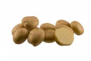 САНТЕ, семена картофи