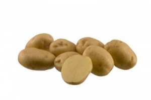 РИВИЕРА, семена картофи
