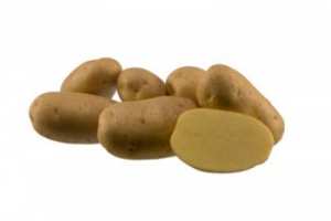АГРИЯ, семена картофи