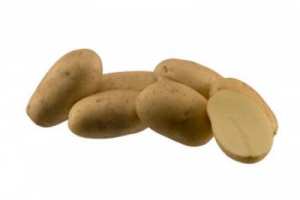 АМБИШЪН, семена картофи