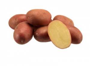 ЛУСА, семена картофи