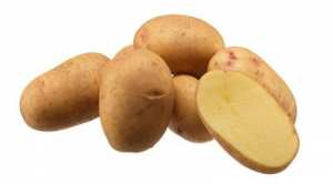 Асортимент и характеристики - основни типове картофи