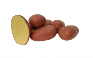 АЛУЕТ, семена картофи