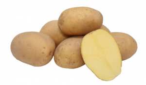 ВОГ, семена картофи