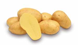 ЛАУДИНИ,семена картофи